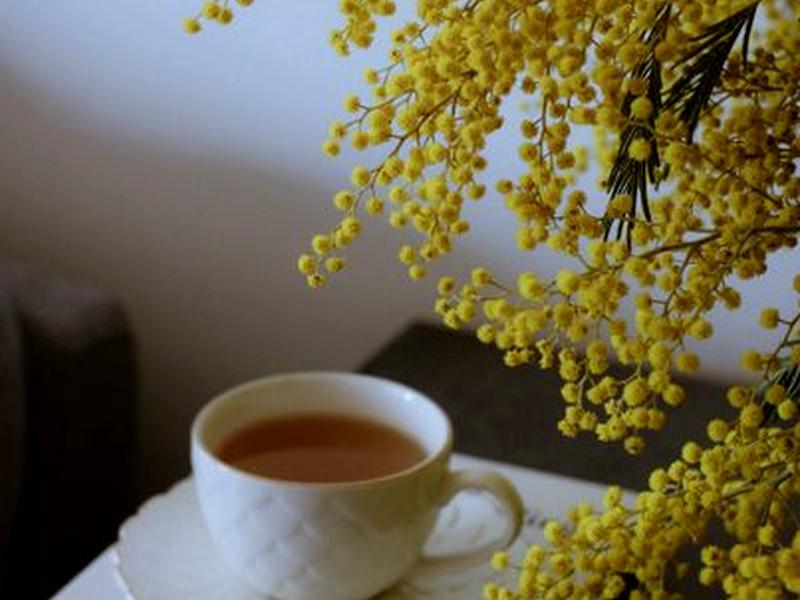 歐菲莉亞